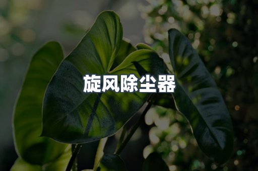 中央集尘系统